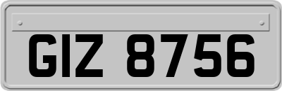 GIZ8756