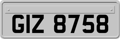 GIZ8758