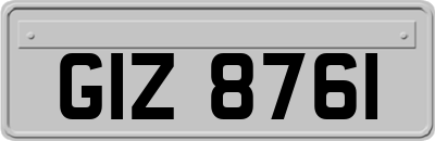 GIZ8761