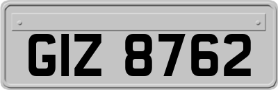GIZ8762