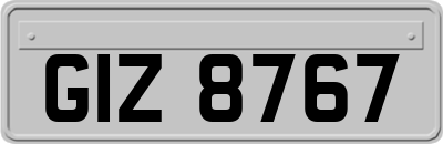 GIZ8767