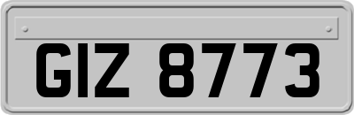 GIZ8773