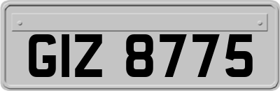 GIZ8775