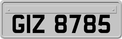 GIZ8785