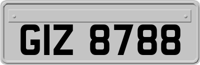 GIZ8788