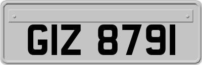 GIZ8791
