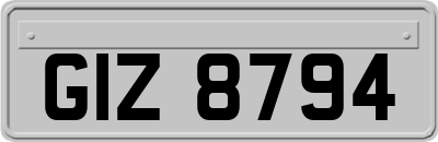 GIZ8794