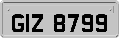 GIZ8799