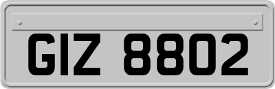 GIZ8802