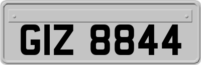 GIZ8844