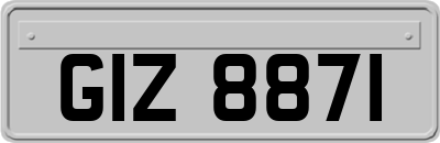 GIZ8871