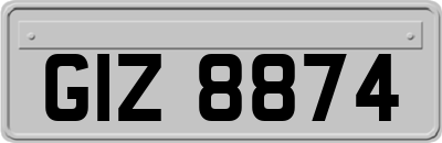 GIZ8874