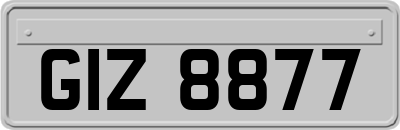 GIZ8877