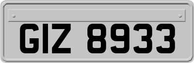 GIZ8933