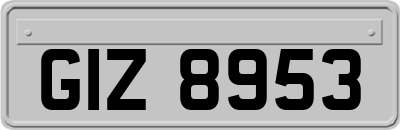 GIZ8953