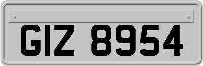 GIZ8954