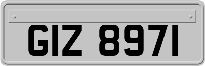 GIZ8971