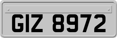 GIZ8972