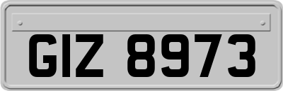 GIZ8973