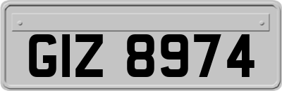 GIZ8974