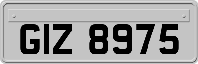 GIZ8975