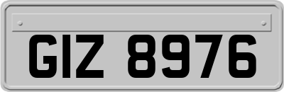 GIZ8976