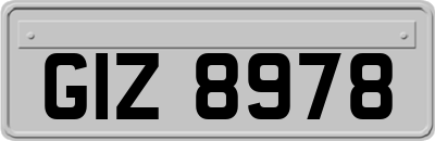 GIZ8978