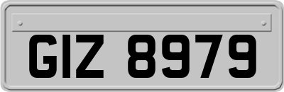GIZ8979