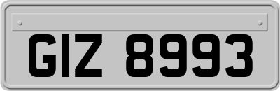 GIZ8993
