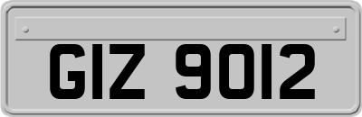 GIZ9012