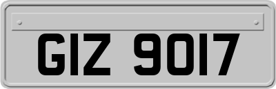 GIZ9017