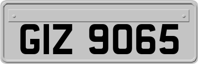 GIZ9065