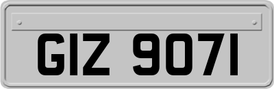 GIZ9071