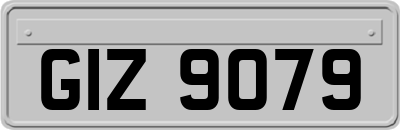 GIZ9079