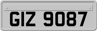 GIZ9087