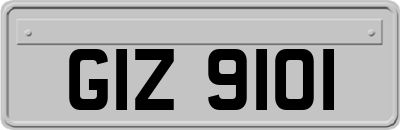 GIZ9101