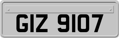 GIZ9107