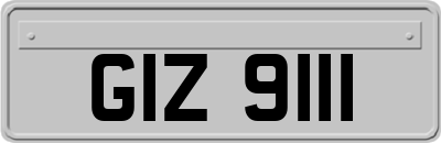 GIZ9111