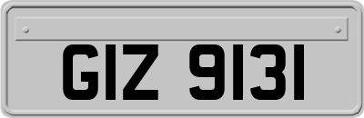 GIZ9131