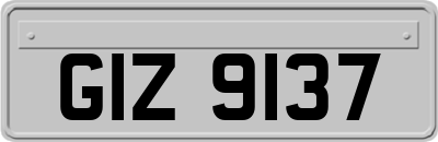 GIZ9137