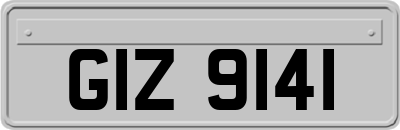 GIZ9141