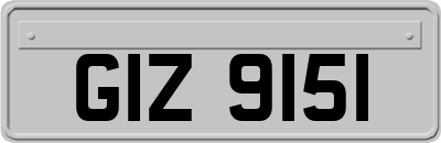 GIZ9151