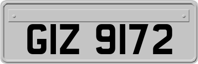 GIZ9172