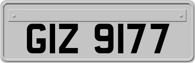 GIZ9177