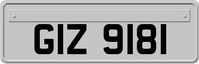 GIZ9181