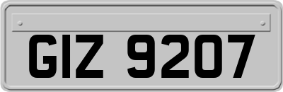 GIZ9207
