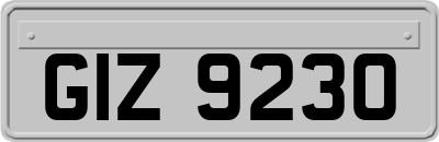 GIZ9230