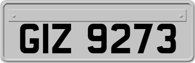 GIZ9273