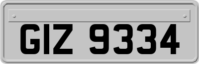 GIZ9334