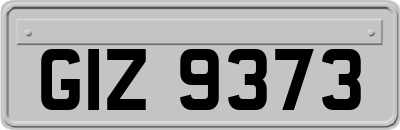 GIZ9373